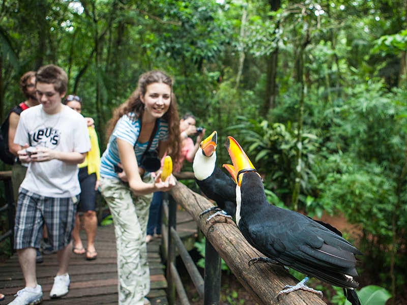 A foto mostra a visitação no Parque das Aves em Foz do Iguaçu.