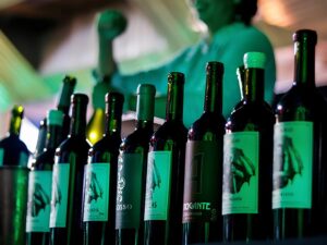 malbec-day-2025